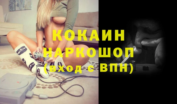 МДПВ Дмитриев