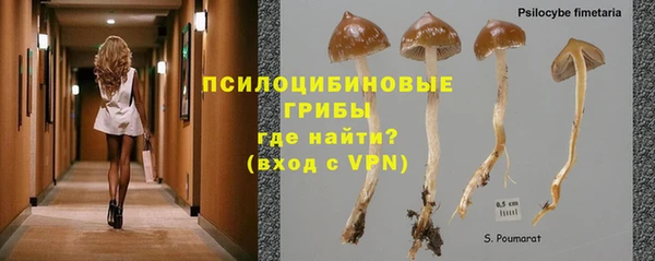 мяу мяу мука Ельня