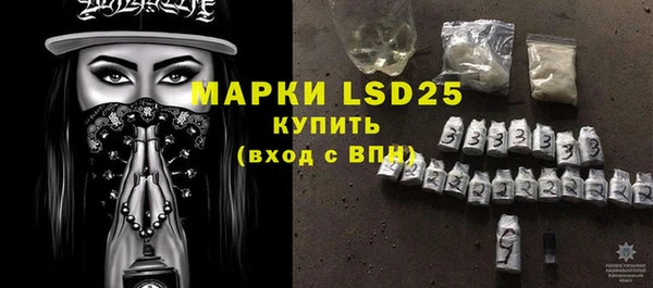 шишки Гусев