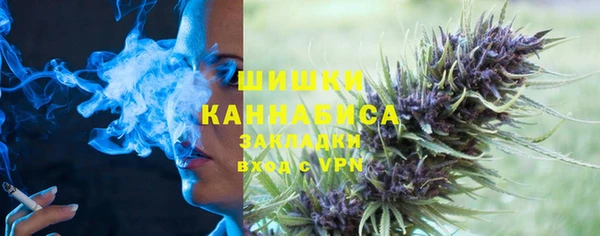 МДПВ Дмитриев