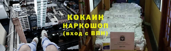 СК Елизово